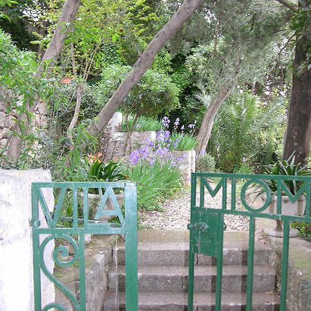 Villa Miomir 두브로브니크 외부 사진