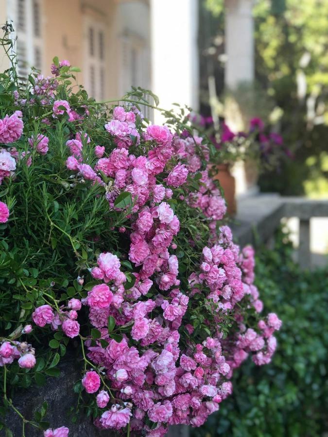 Villa Miomir 두브로브니크 외부 사진